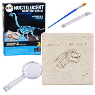 Zestaw Archeologiczny Wykopaliska Dinozaur Szkielet 3D Brachiosaurus Hologram
